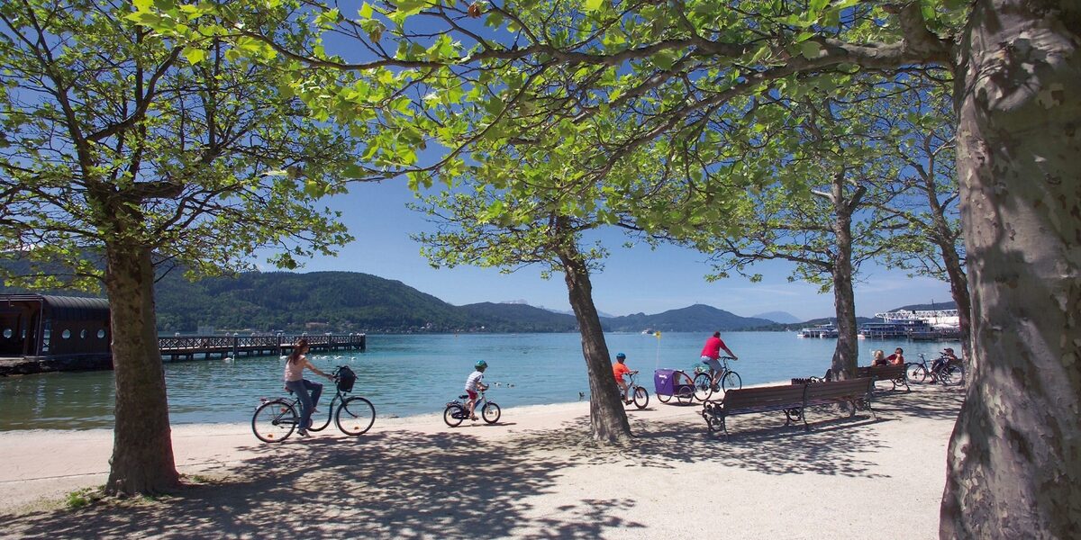 An einem sonnigen Tag fahren Menschen mit ihren Fahrrädern einen von Bäumen gesäumten Weg an einem See entlang, mit Bergen und einem Pier im Hintergrund.