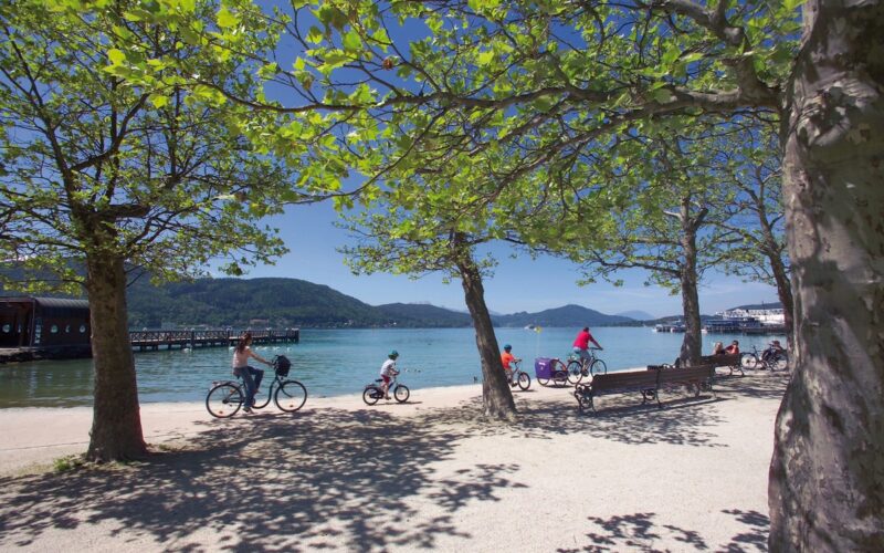 An einem sonnigen Tag fahren Menschen mit ihren Fahrrädern einen von Bäumen gesäumten Weg an einem See entlang, mit Bergen und einem Pier im Hintergrund.