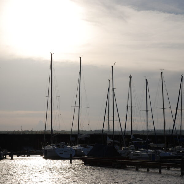 In einem Jachthafen liegen Segelboote vor Anker, deren hohe Masten sich gegen den wolkenverhangenen Himmel abzeichnen, während die Sonne tief am Horizont steht.