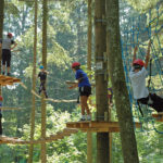 Kinder, die Helme und Klettergurte tragen, nehmen an einem Hochseilgarten zwischen hohen Bäumen teil, balancieren auf Plattformen und klettern auf Netzen in einem Outdoor-Abenteuerpark.