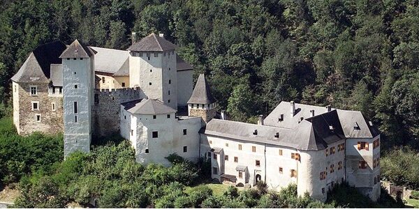 Luftaufnahme einer historischen Burganlage aus Stein mit Türmen und Schrägdächern, umgeben von einem dichten grünen Wald.