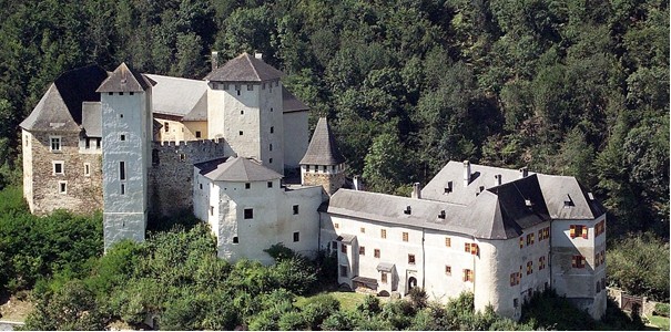 Luftaufnahme einer historischen Burganlage aus Stein mit Türmen und Schrägdächern, umgeben von einem dichten grünen Wald.
