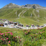 Ein kleines Dorf mit Gebäuden im alpinen Stil liegt in einem grünen Bergtal, mit bunten Wildblumen im Vordergrund und schroffen Gipfeln im Hintergrund unter einem klaren blauen Himmel.
