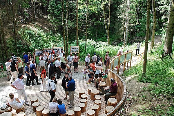 Eine Gruppe von Menschen versammelt sich auf einer hölzernen Plattform mit Holzhockern in einem Wald, liest Informationstafeln und tauscht sich in einer natürlichen Umgebung aus.