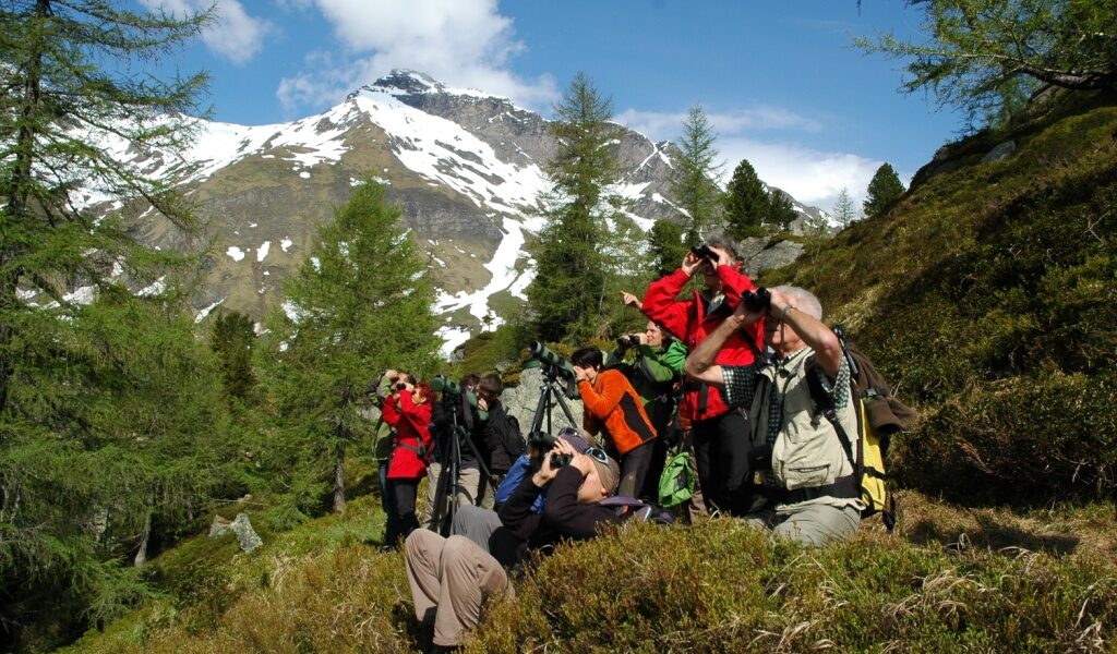 Eine Gruppe von Menschen auf einer grasbewachsenen Anhöhe mit einem Fernglas, im Hintergrund Kiefern und schneebedeckte Berge.