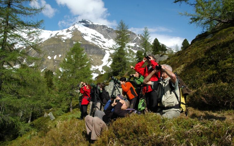 Eine Gruppe von Menschen auf einer grasbewachsenen Anhöhe mit einem Fernglas, im Hintergrund Kiefern und schneebedeckte Berge.