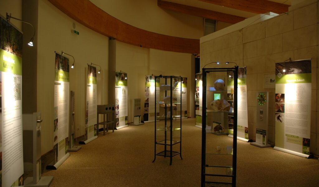 Ein gut beleuchteter Museumsausstellungsraum mit Vitrinen in der Mitte und beleuchteten Informationstafeln entlang der gebogenen Wände.
