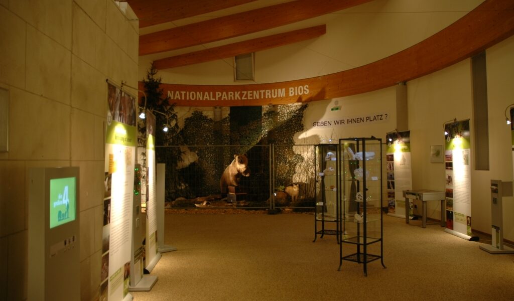 Ausstellungshalle im Nationalparkzentrum Bios mit Informationstafeln, einer Bärenskulptur vor einem Waldwandbild und überhängenden Holzbalken.