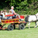 Ein kleines Pferd zieht eine rot-gelbe Kutsche mit einem Mann und drei Kindern über eine grasbewachsene Wiese, im Hintergrund stehen grüne Bäume.