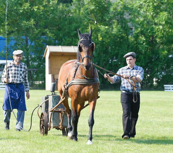 Zwei Männer führen ein braunes Pferd über ein grasbewachsenes Feld; ein Mann hält die Zügel, während der andere hinterherläuft und einen kleinen Wagen mit Rädern lenkt.