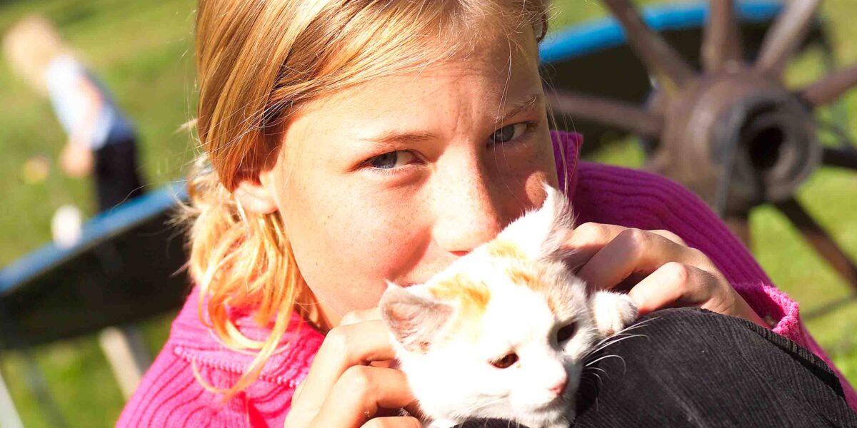 Ein Mädchen in einem rosafarbenen Pullover hält ein weißes Kätzchen auf ihrem Schoß im Freien, mit einem hölzernen Wagenrad und Grünzeug im Hintergrund.