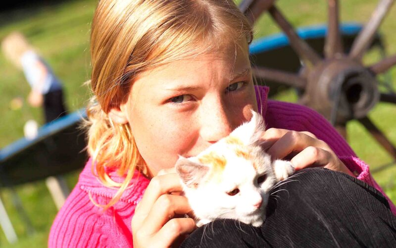 Ein Mädchen in einem rosafarbenen Pullover hält ein weißes Kätzchen auf ihrem Schoß im Freien, mit einem hölzernen Wagenrad und Grünzeug im Hintergrund.