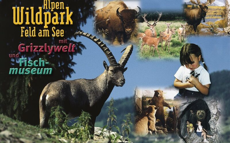 Collage mit Wildtieren wie Steinböcken, Bisons und Hirschen, mit einem jungen Mädchen, das ein Kaninchen hält, und einem Text, der für den Alpen Wildpark Feld am See mit Grizzly World und Fischmuseum wirbt.