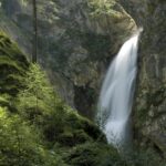 In einem Waldgebiet fließt ein Wasserfall eine felsige Klippe hinunter, umgeben von grünen Bäumen und moosbewachsenen Felsen.