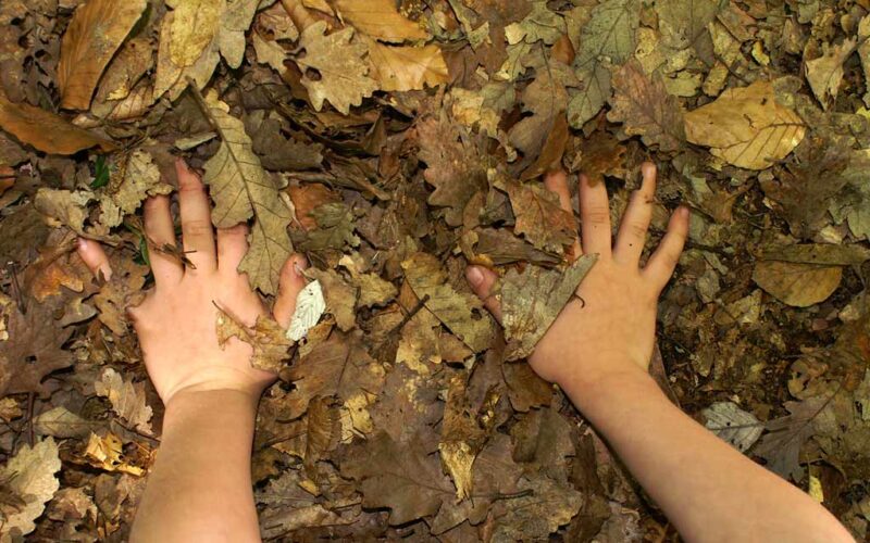 Zwei Hände sind teilweise von trockenen braunen Blättern auf dem Boden bedeckt.