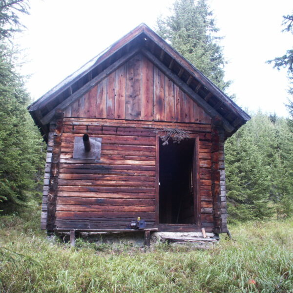 Eine kleine, verwitterte Holzhütte mit offener Tür ist von dichten immergrünen Bäumen und Gras umgeben.