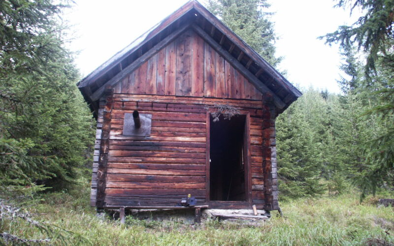 Eine kleine, verwitterte Holzhütte mit offener Tür ist von dichten immergrünen Bäumen und Gras umgeben.