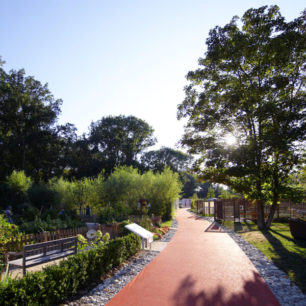 An einem sonnigen Tag führt ein roter Wanderweg durch einen Landschaftspark mit Gartenbeeten, Bäumen und Hinweisschildern.