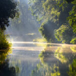 Ein ruhiger Fluss, umgeben von üppigen grünen Bäumen, durch den das Sonnenlicht scheint und Spiegelungen und Nebel auf der Wasseroberfläche erzeugt.