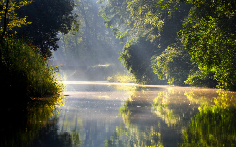 Ein ruhiger Fluss, umgeben von üppigen grünen Bäumen, durch den das Sonnenlicht scheint und Spiegelungen und Nebel auf der Wasseroberfläche erzeugt.