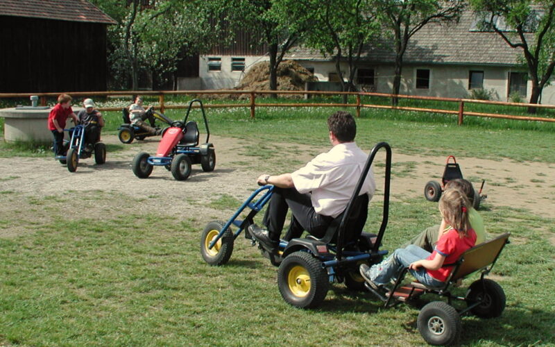 Mehrere Personen fahren Gokarts auf einer Wiese; ein Erwachsener zieht zwei Kinder in einem kleinen Anhänger hinter einem Gokart her.
