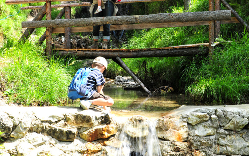 Ein Kind mit Rucksack hockt neben einem kleinen Wasserfall, während ein Erwachsener und ein weiteres Kind auf einer Holzbrücke in einem grünen Waldgebiet stehen.