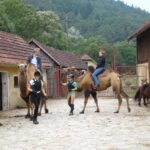 Zwei Personen reiten auf Kamelen in einem Hof, in dessen Nähe weitere Personen stehen; Pferde und ein gefleckter Esel sind ebenfalls zu sehen. Im Hintergrund sind Gebäude und Bäume zu sehen.