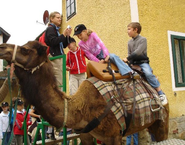Zwei Kinder sitzen auf einem gesattelten Kamel, während eine Frau ihnen hilft und andere Kinder in der Nähe vor einem gelben Gebäude stehen.