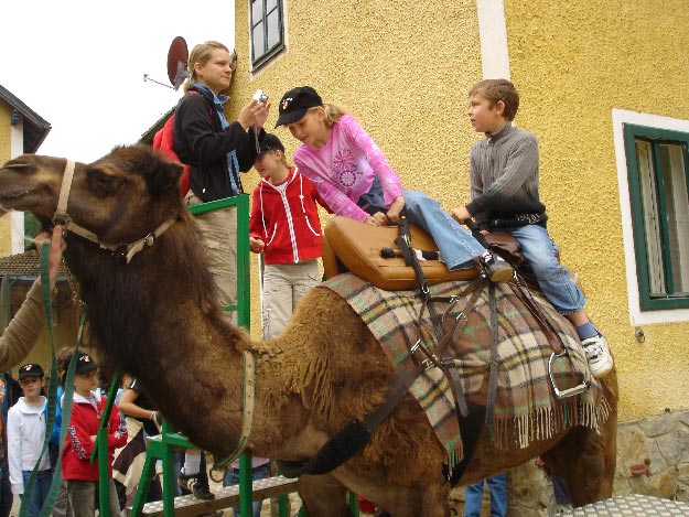 Zwei Kinder sitzen auf einem gesattelten Kamel, während eine Frau ihnen hilft und andere Kinder in der Nähe vor einem gelben Gebäude stehen.