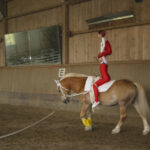 Eine Person in rot-weißem Outfit voltigiert auf einem hellbraunen Pferd in einer Reithalle.