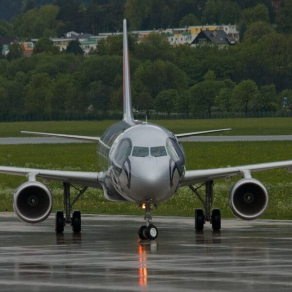 Ein Verkehrsflugzeug mit einem aufgemalten Tiergesicht auf der Nase rollt auf einer nassen Landebahn, mit Bäumen und Gebäuden im Hintergrund.