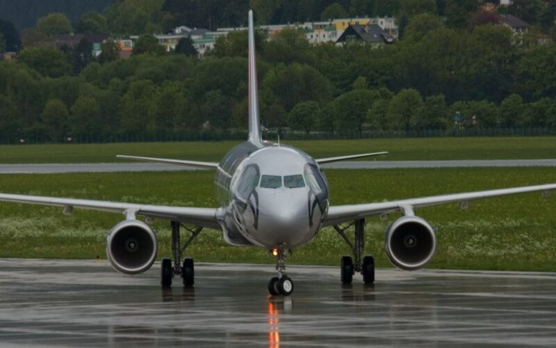 Ein Verkehrsflugzeug mit einem aufgemalten Tiergesicht auf der Nase rollt auf einer nassen Landebahn, mit Bäumen und Gebäuden im Hintergrund.