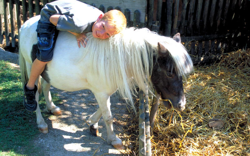 Ein kleiner Junge liegt auf dem Rücken eines kleinen weiß-braunen Ponys in einem eingezäunten Außenbereich mit Stroh auf dem Boden.