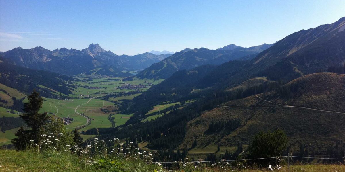 Ein weiter Blick auf ein grünes Tal, umgeben von Bergen unter einem klaren blauen Himmel, mit Wildblumen und Gras im Vordergrund.