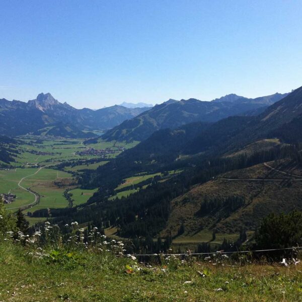 Ein weiter Blick auf ein grünes Tal, umgeben von Bergen unter einem klaren blauen Himmel, mit Wildblumen und Gras im Vordergrund.