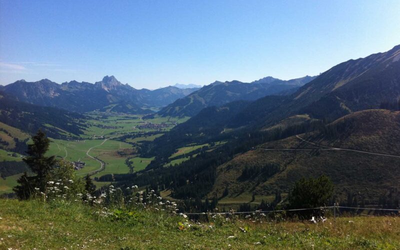 Ein weiter Blick auf ein grünes Tal, umgeben von Bergen unter einem klaren blauen Himmel, mit Wildblumen und Gras im Vordergrund.