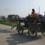 Ein Pferd zieht einen Wagen mit mehreren Kindern und zwei Erwachsenen an einem sonnigen Tag über eine Landstraße.
