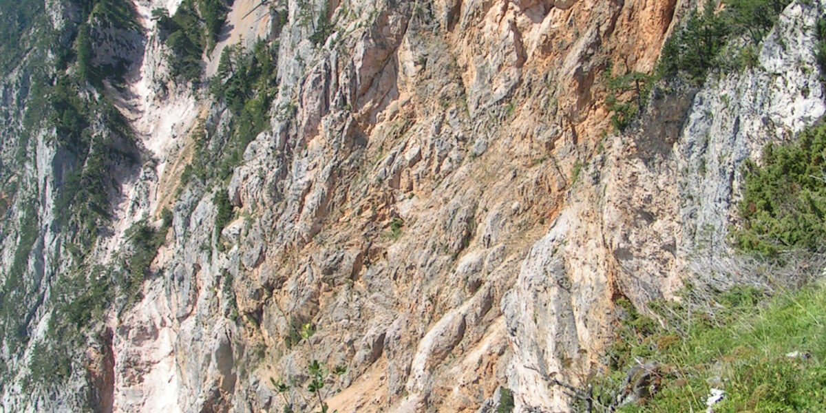 Steile Felswand mit spärlicher Vegetation an der Spitze und grünem Wald darüber, gesehen von einer nahe gelegenen grasbewachsenen und buschigen Fläche.