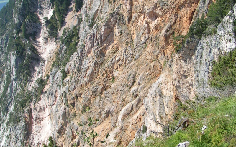 Steile Felswand mit spärlicher Vegetation an der Spitze und grünem Wald darüber, gesehen von einer nahe gelegenen grasbewachsenen und buschigen Fläche.