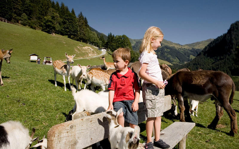 Zwei kleine Kinder stehen auf einer Holzbank in einem grasbewachsenen Feld, umgeben von Ziegen und Rehen, mit Hügeln und Bäumen im Hintergrund unter einem klaren blauen Himmel.