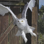 Eine Schneeeule im Flug, mit ausgebreiteten Flügeln, mit einem Holzzaun und Grünpflanzen im Hintergrund.