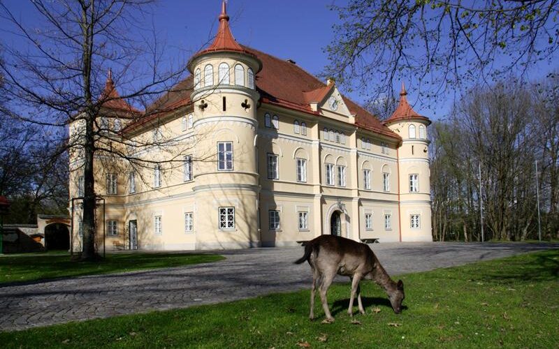 Ein großes gelbes Herrenhaus mit roten Dächern und Rundtürmen steht hinter einem grasenden Hirsch im Vordergrund, unter einem klaren blauen Himmel.