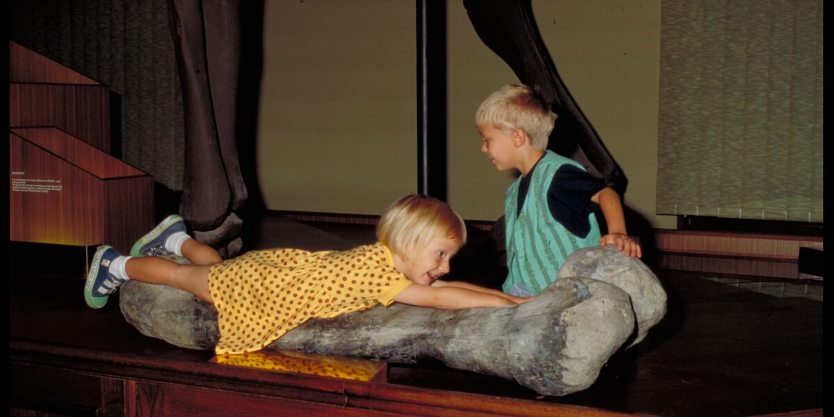 Zwei kleine Kinder interagieren mit einem großen Dinosaurierknochen, der auf einer hölzernen Oberfläche in einem Museum ausgestellt ist.