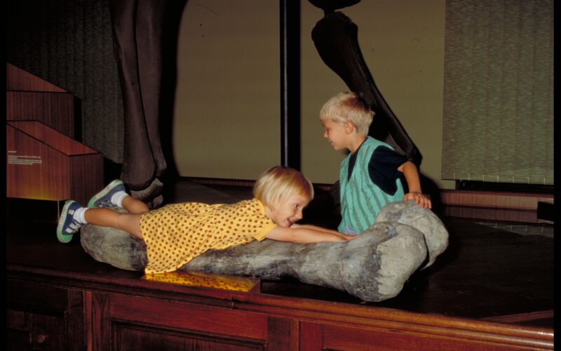 Zwei kleine Kinder interagieren mit einem großen Dinosaurierknochen, der auf einer hölzernen Oberfläche in einem Museum ausgestellt ist.