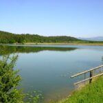 Ein ruhiger See, umgeben von grünen Bäumen und Gras, mit einem Holzgeländer, das am Ufer entlang ins Wasser führt, unter einem klaren blauen Himmel.