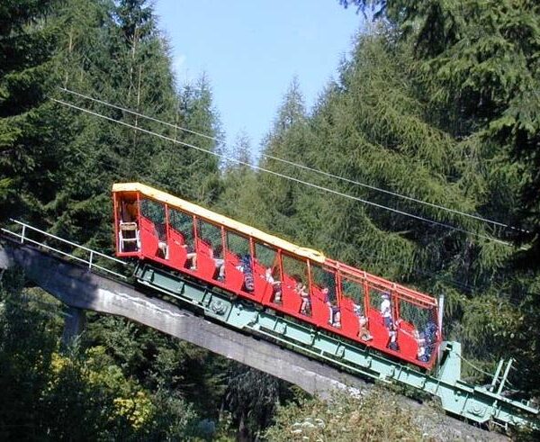 Eine rot-gelbe Standseilbahn befördert die Fahrgäste einen steilen, bewaldeten Hang hinauf, der von hohen, immergrünen Bäumen umgeben ist.