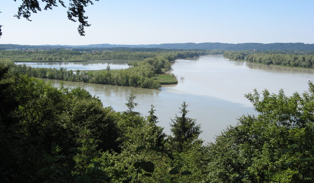 Blick auf einen breiten Fluss, der sich durch eine dicht bewaldete Landschaft schlängelt, unter einem klaren blauen Himmel, von einem erhöhten Aussichtspunkt aus gesehen.