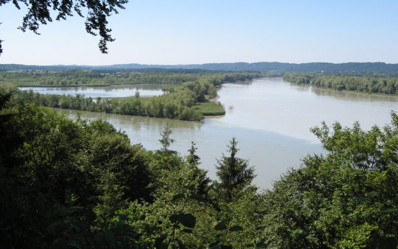Blick auf einen breiten Fluss, der sich durch eine dicht bewaldete Landschaft schlängelt, unter einem klaren blauen Himmel, von einem erhöhten Aussichtspunkt aus gesehen.