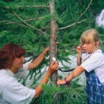 Ein Erwachsener und ein Kind verwenden ein Stethoskop, um einen Baum in einem Wald in der Nähe eines Flusses und eines Wasserfalls abzuhören.