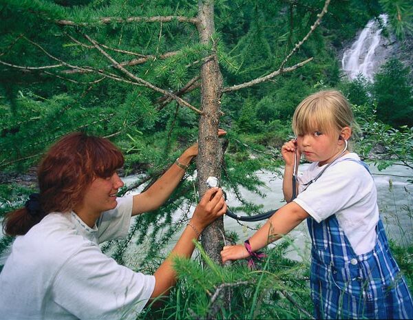 Ein Erwachsener und ein Kind verwenden ein Stethoskop, um einen Baum in einem Wald in der Nähe eines Flusses und eines Wasserfalls abzuhören.